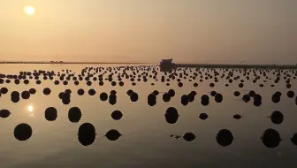 视界映像数码，环球琴行，哈仙岛旅游