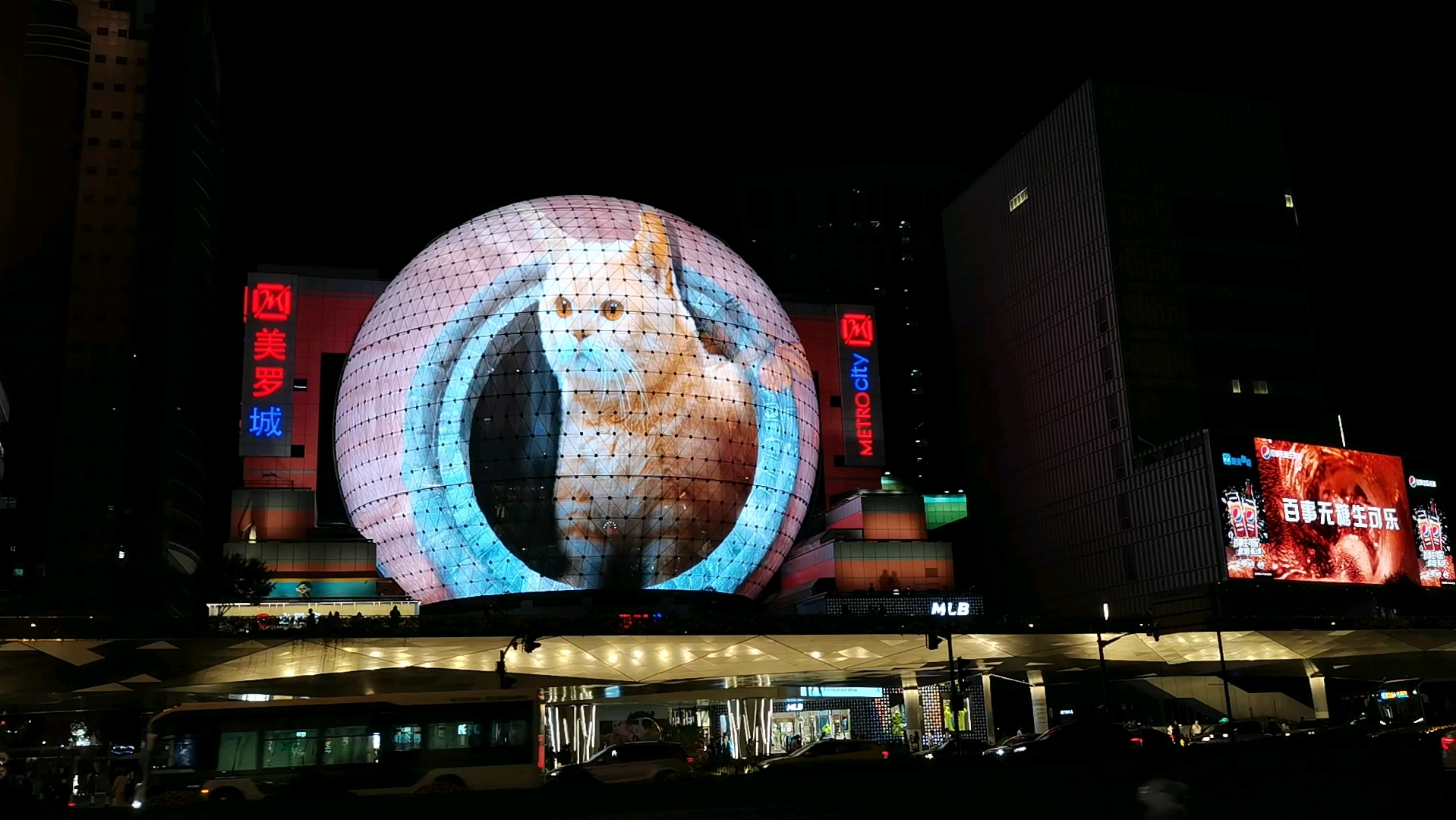 美罗城的可爱猫猫