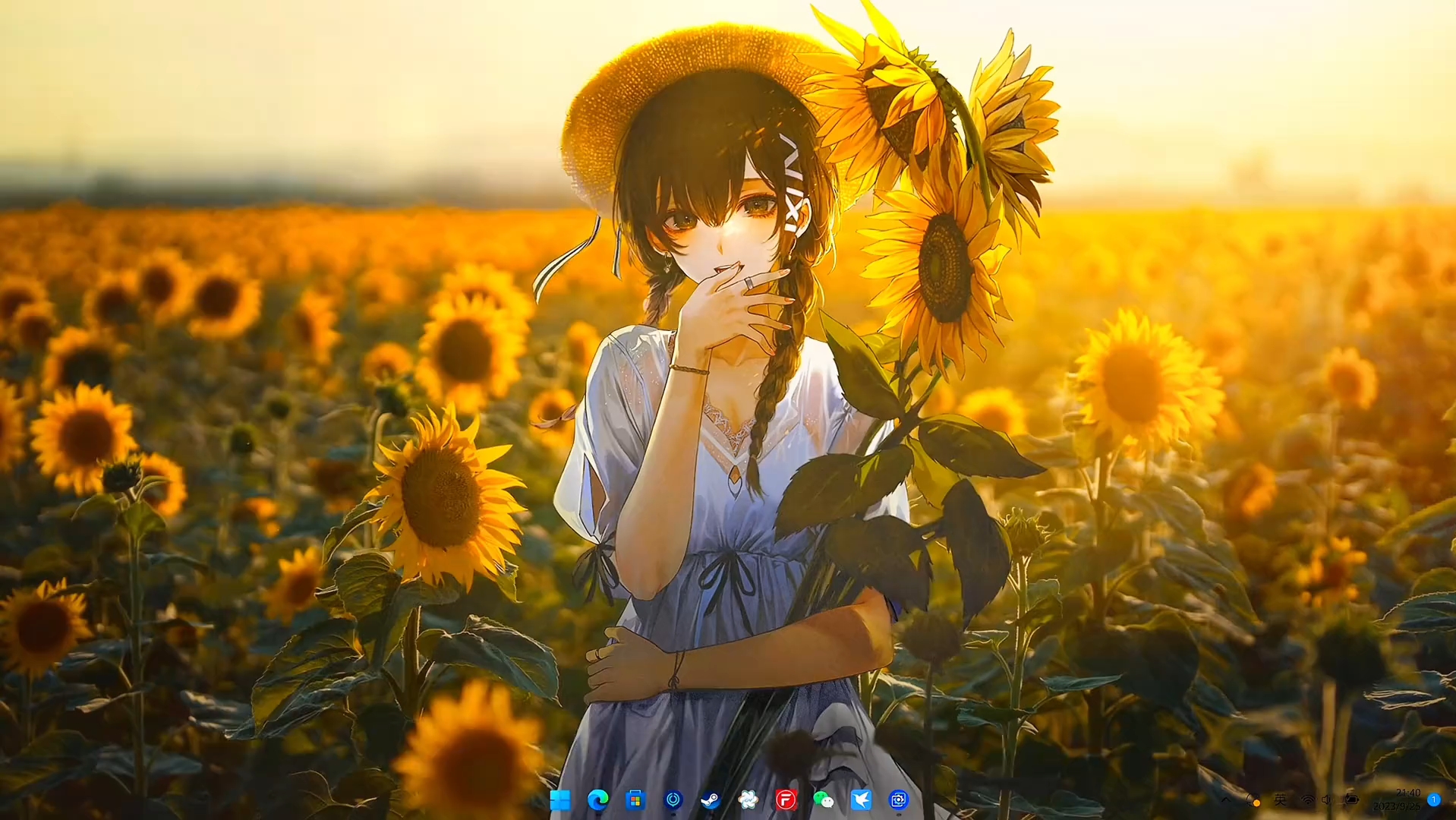 wallpaper动态壁纸