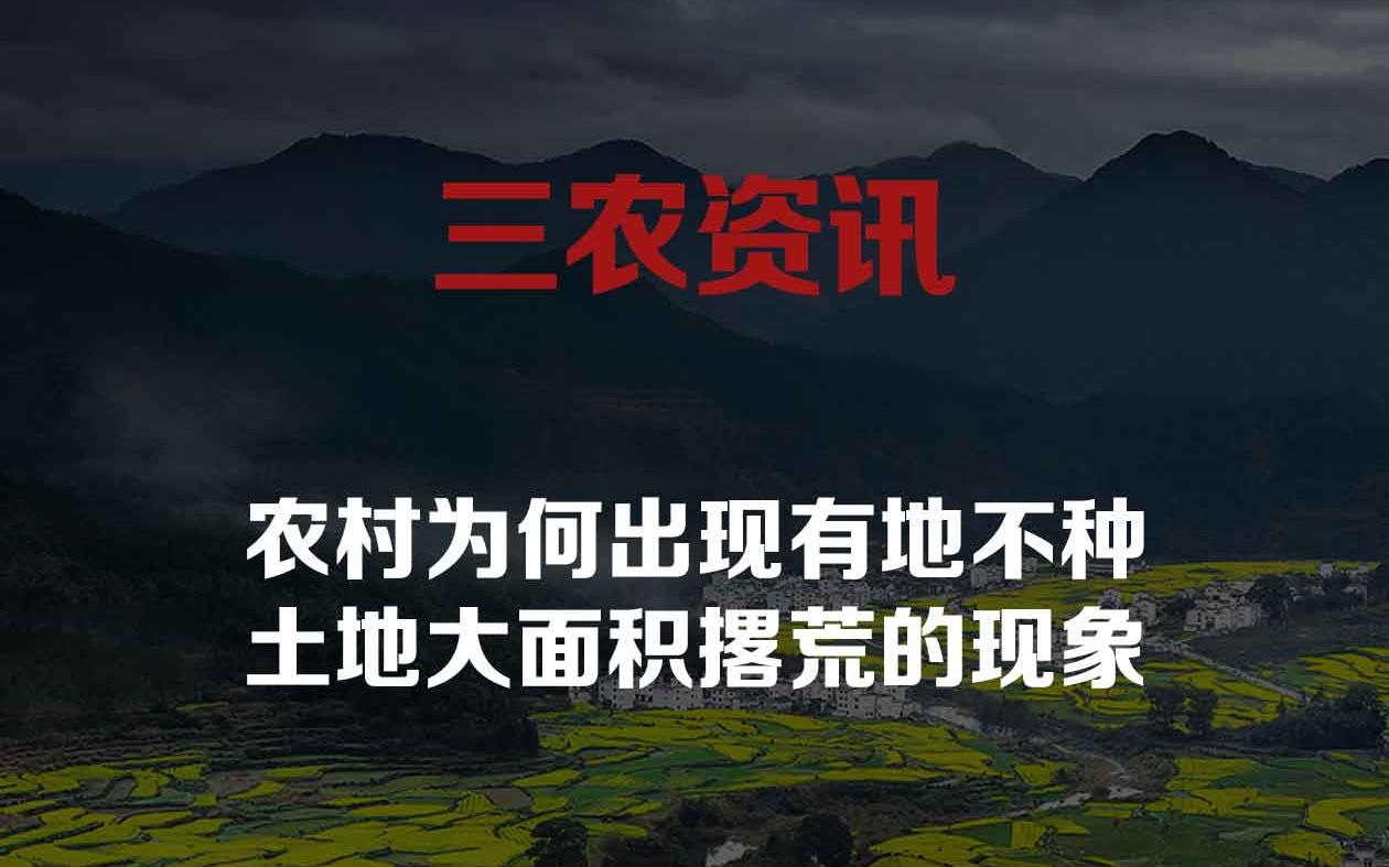 农村为何出现有地不种土地大面积撂荒的现象哔哩哔哩bilibili