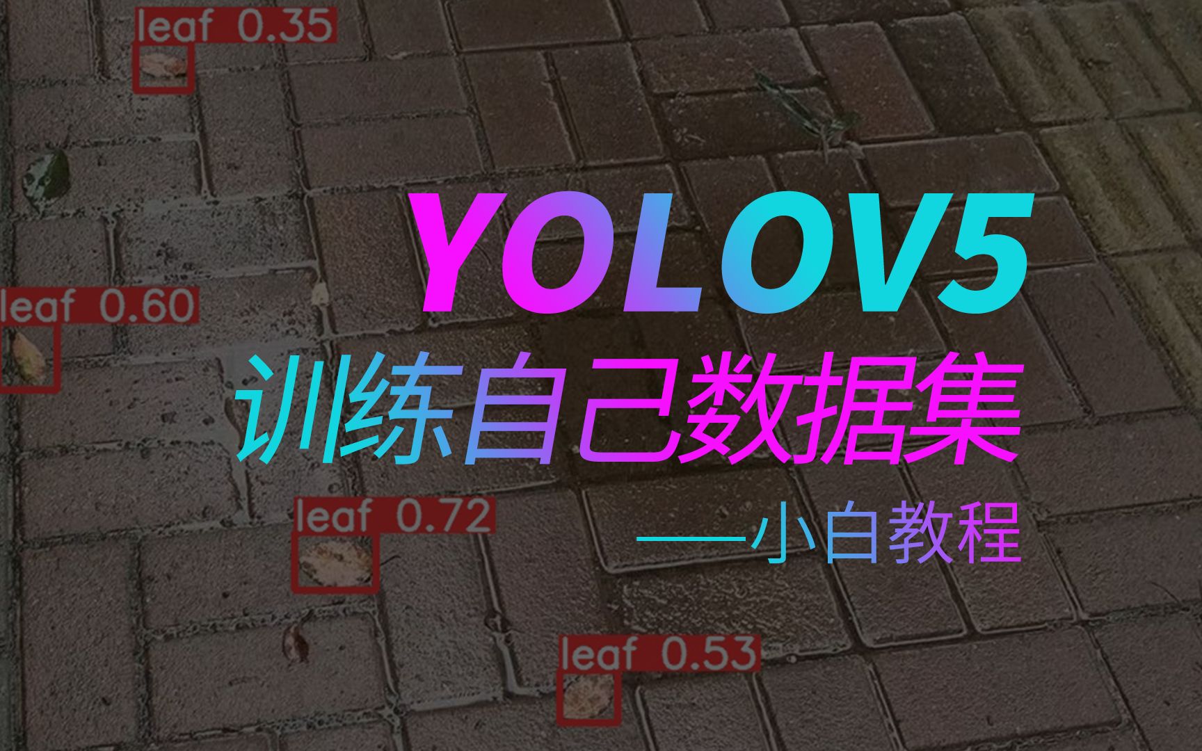  yolov5 0 