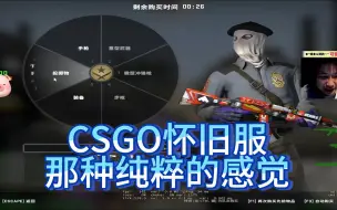 Download Video: dank1ng打5e怀旧服csgo，遇见纯粹队友，十分泪目！