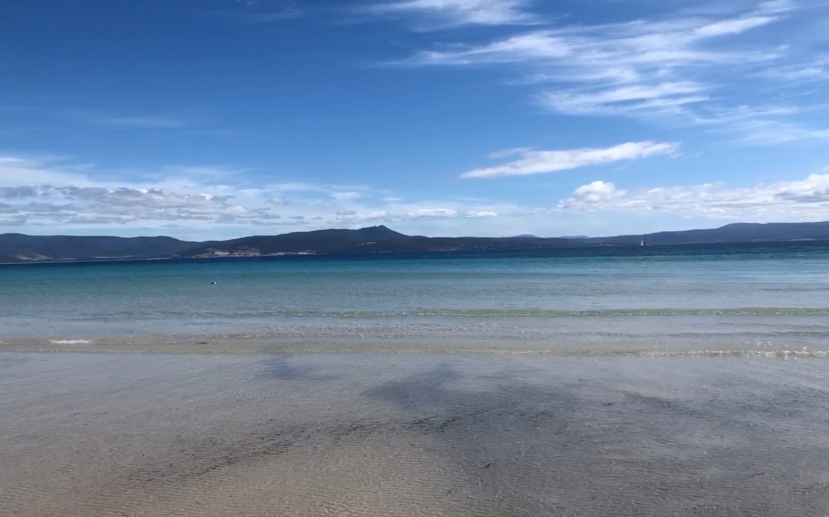 留学生生活vlog - 探索澳洲无人岛 玛丽亚岛