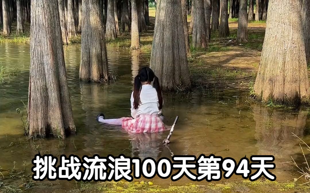 挑战流浪100天第94天 自制扇子