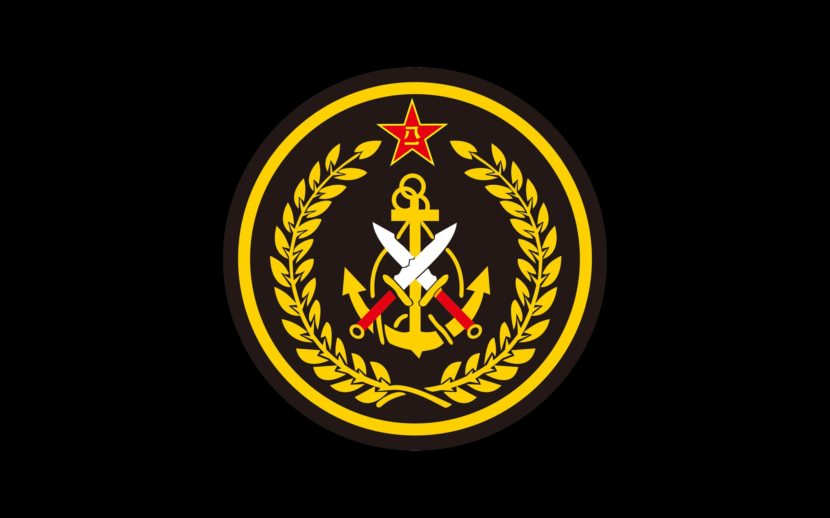 中国海军陆战队旗帜图片