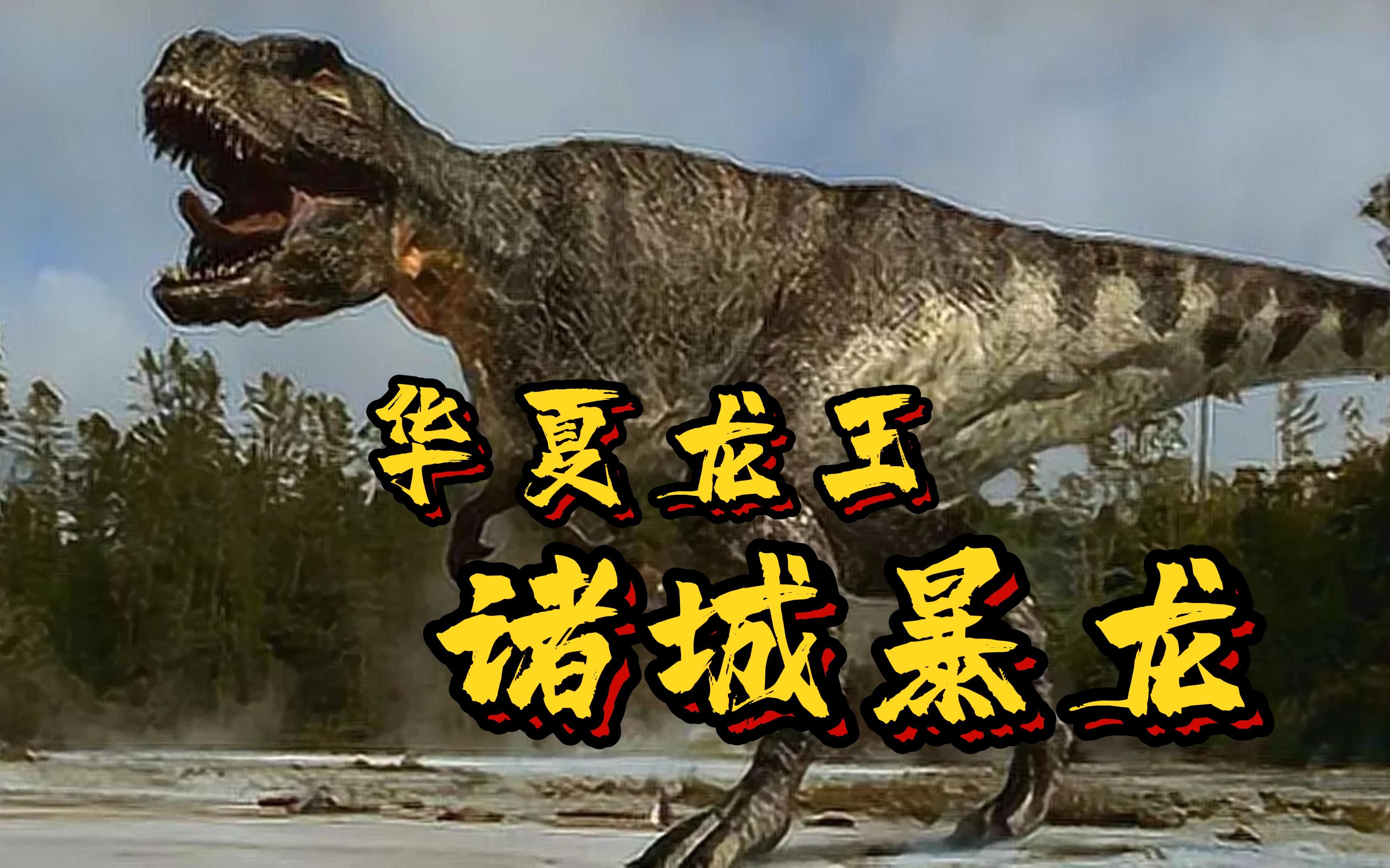 【华夏龙组】华夏龙王