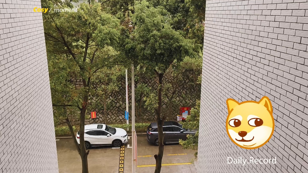 [图]一场大雨，毁了我的军训梦