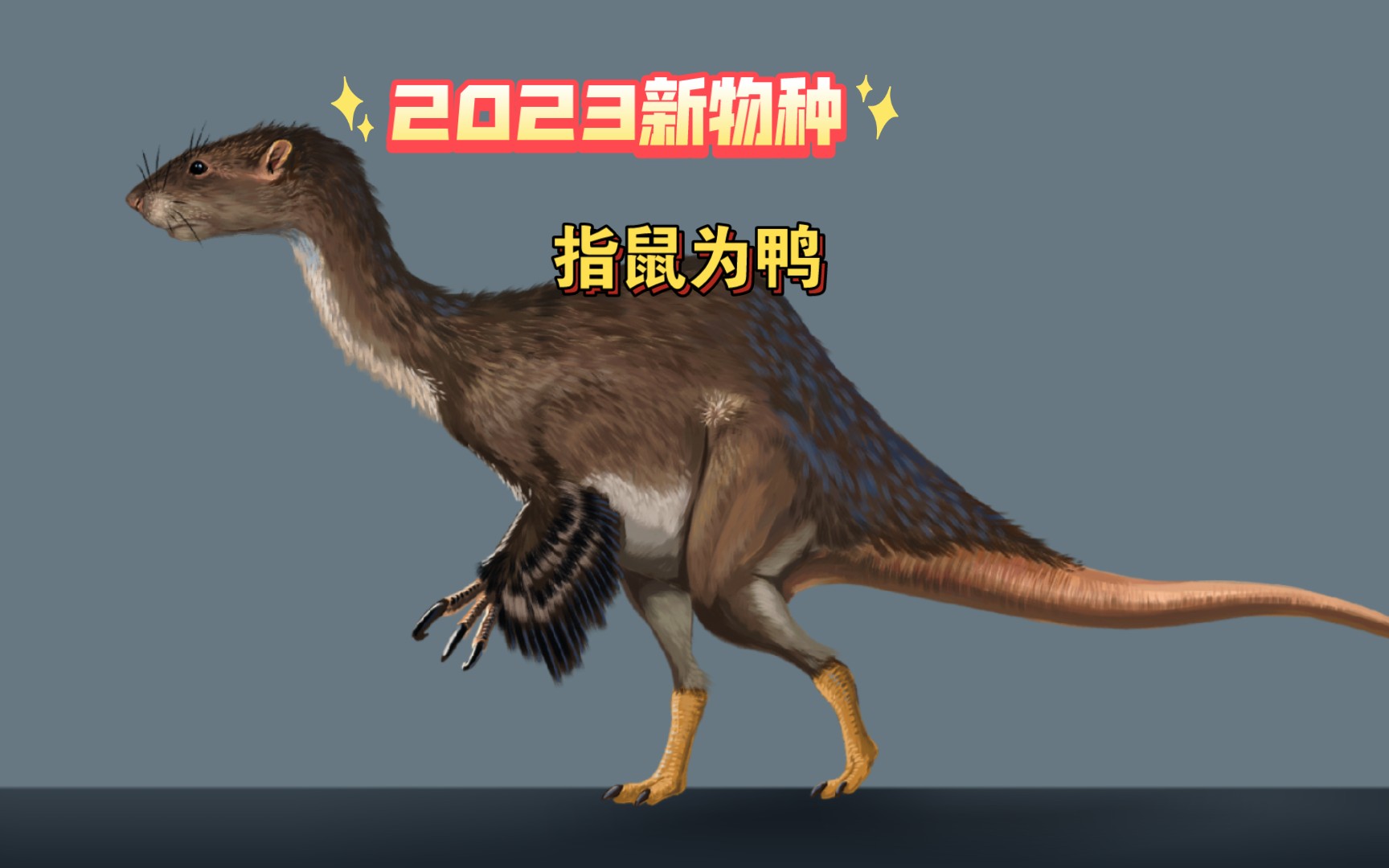【指鼠为鸭】2023新物种复原——请为它命名一下