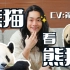梦幻联动！没有日本人不喜欢熊猫！没有！！