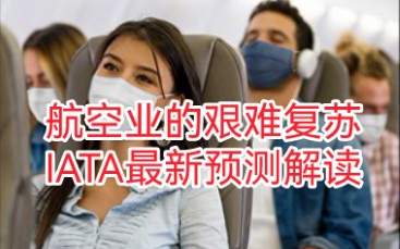 航空业的艰难复苏,IATA最新预测解读哔哩哔哩bilibili