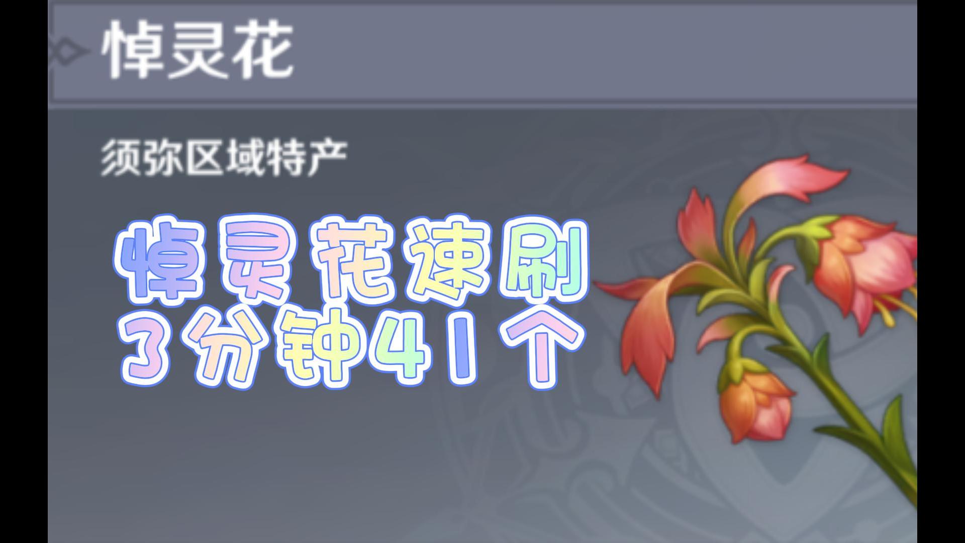 原神悼灵花速刷采集攻略3分钟41朵