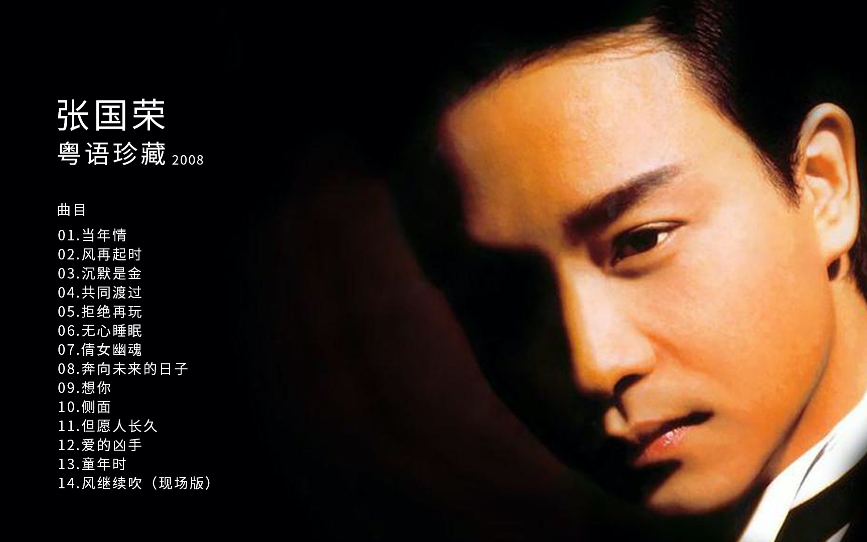 高音质张国荣2008粤语珍藏版320k无损