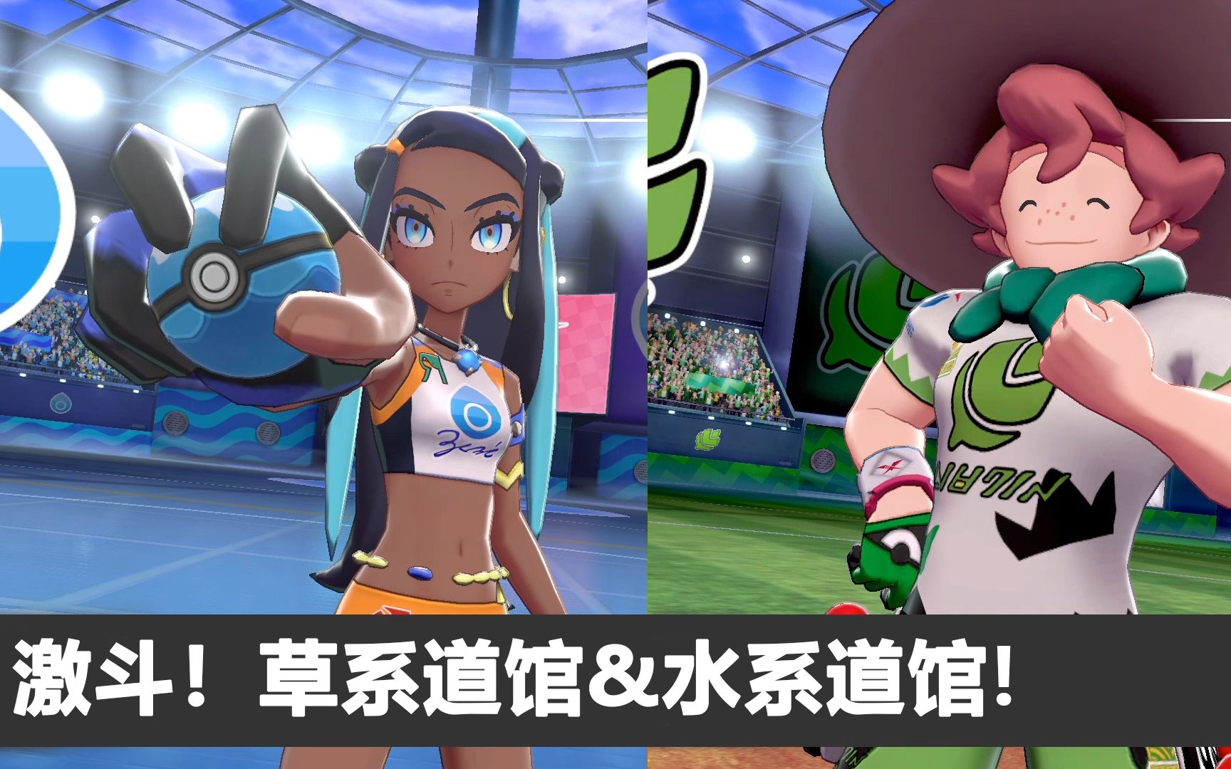 宝可梦剑盾一周目开荒录播p3激斗草系道馆水系道馆