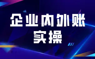 Download Video: 企业内账及外账会计实操课程