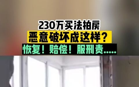 花费230万购买法拍房,结果惨遭破坏千疮百孔!哔哩哔哩bilibili