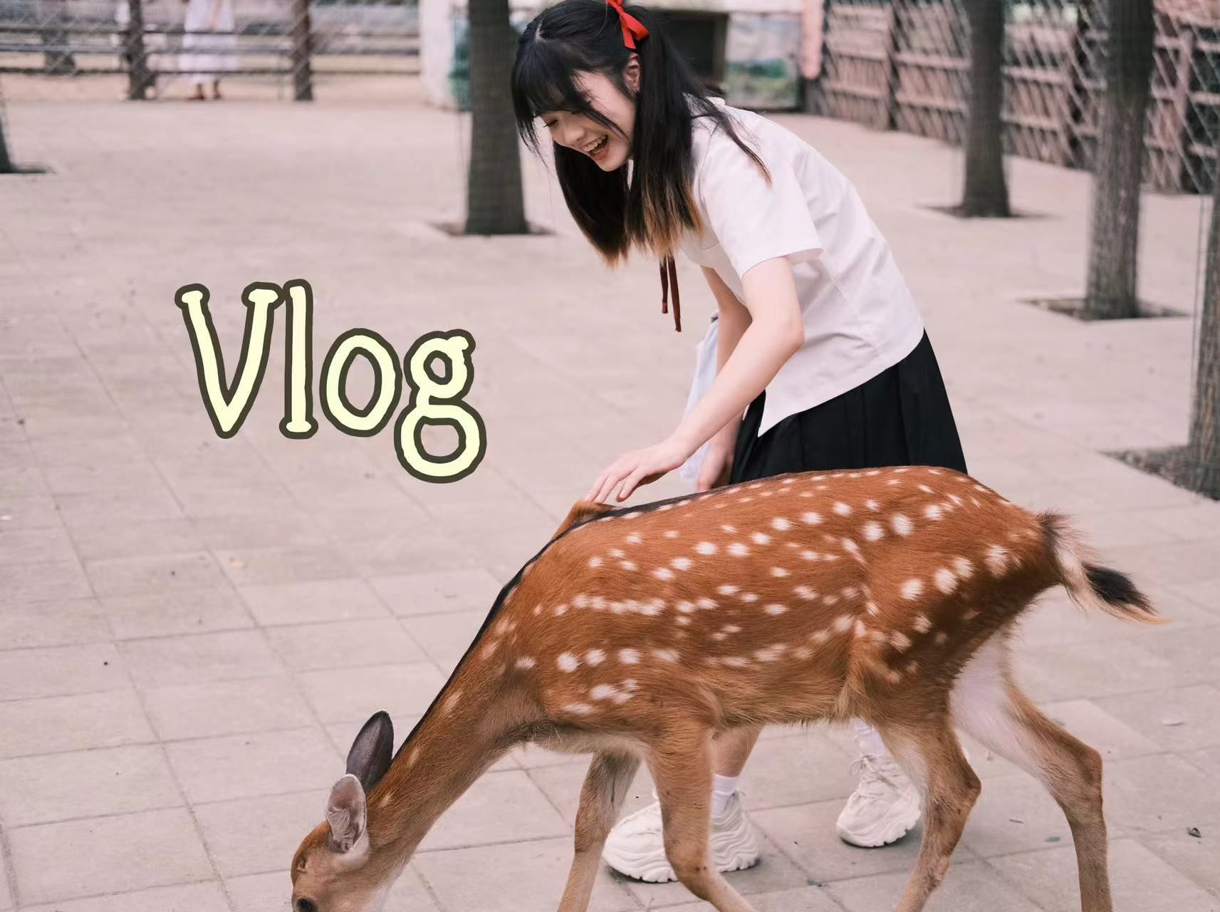 Daily vlog#终于开学了!(奥森喂小鹿|Diy应援物|做了新的美甲)哔哩哔哩bilibili