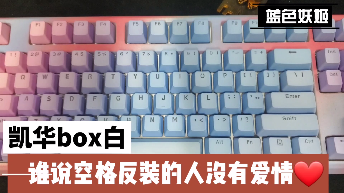 【小雨数码科技】凯华box白轴打字到底爽哔哩哔哩bilibili