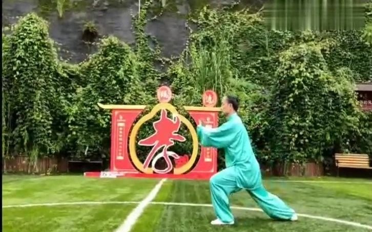 武术老师现场演练新编二十八式太极拳慢动作教学!哔哩哔哩bilibili