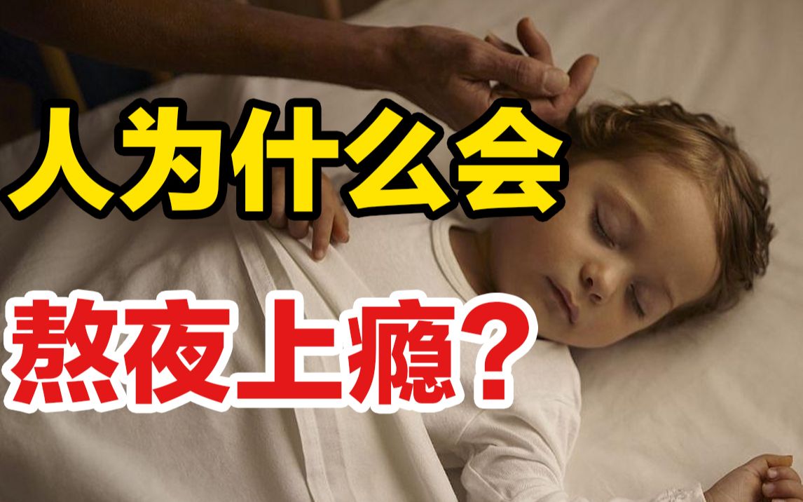 人为什么会熬夜上瘾?1000名婴儿的“睡眠实验”揭开秘密!哔哩哔哩bilibili