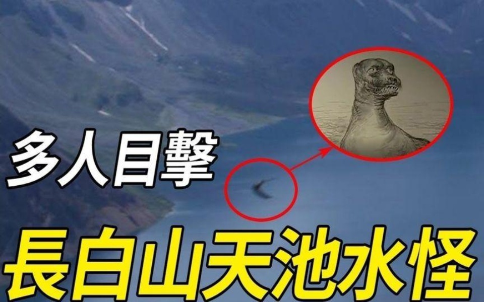 长白山天池水怪最新目击，珍贵视频证据保存，脑袋竟然比牛还大