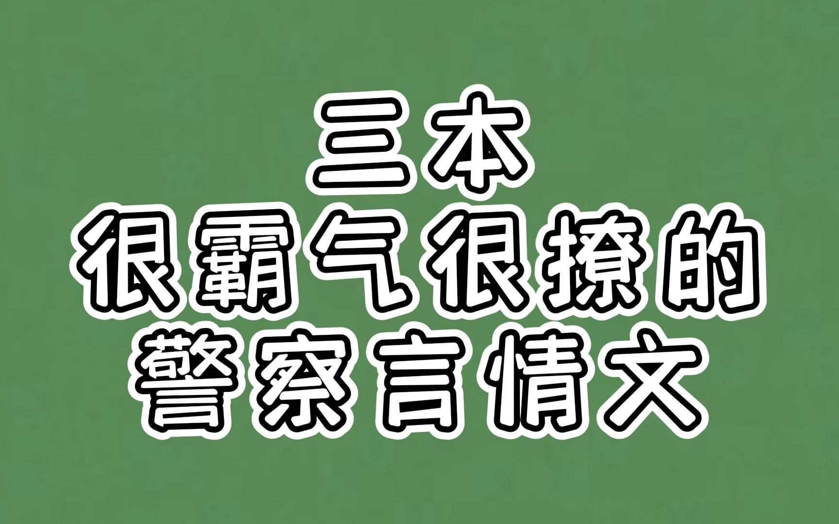 三本很霸气很撩的警察言情文:忠于国家忠于人民,也忠于女朋友哔哩哔哩bilibili