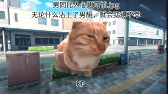 Download Video: 【跑团猫meme】因为队友的取悦大成功导致我变成男同（下）