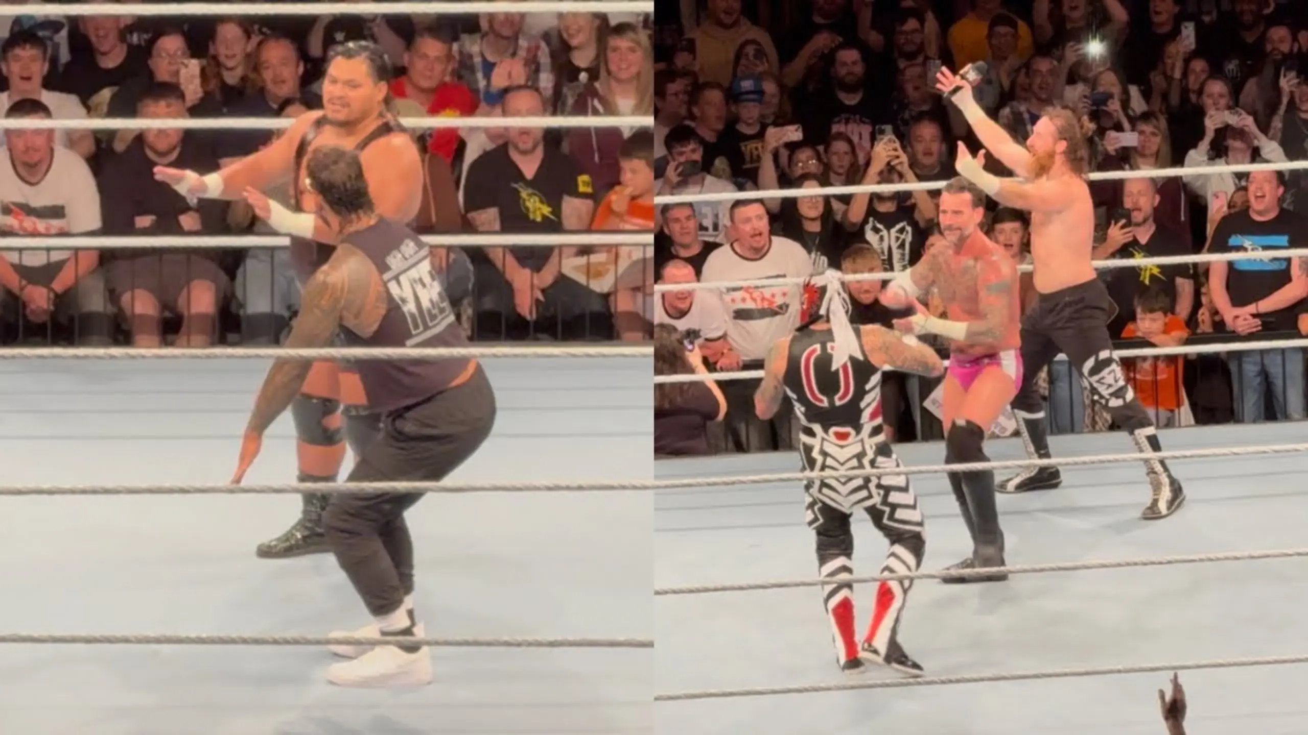Wwe8