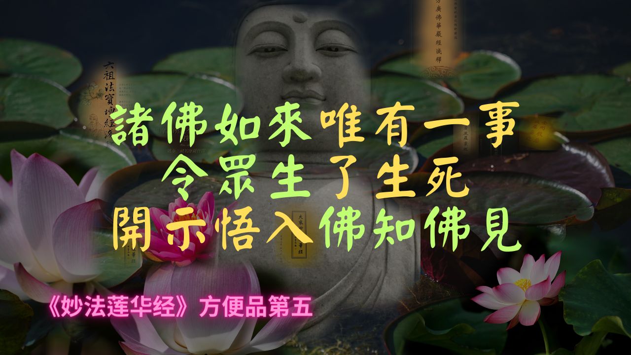 【法华经】诸佛如来唯有一事,令众生了生死,开示悟入佛知佛见哔哩哔哩bilibili