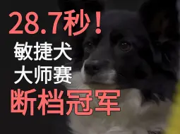 敏捷犬大师赛新王者诞生！狗狗Nimble 28.7s 秒杀全场，精彩至极