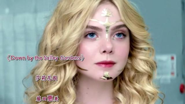 欧美经典爱尔兰民谣《down by the salley gardens》莎莉花园