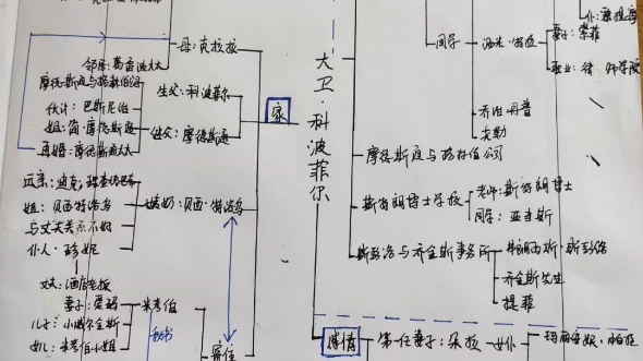 《大卫科波菲尔》人物关系图哔哩哔哩bilibili