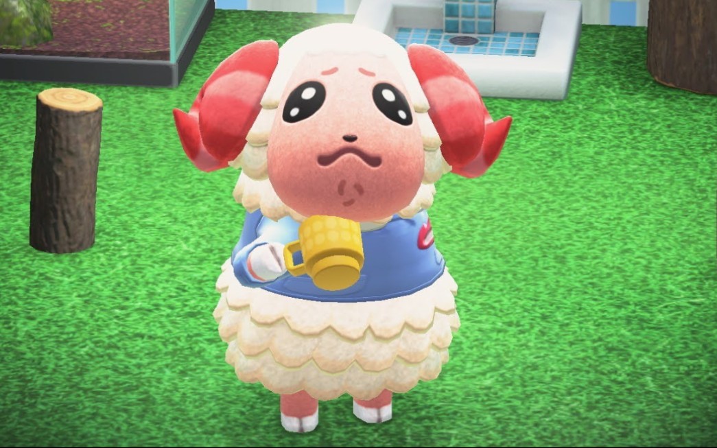 动森茶茶丸日常