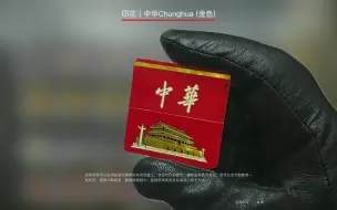 下载视频: CSGO最炸裂的印花，没有之一