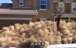 下载视频: 没想到中国的美食，竟成了全美噩梦。