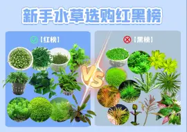 Descargar video: 阴性草推荐丨新手水草选购红黑榜