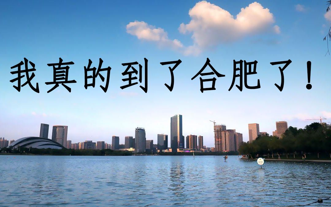 【我真的到了合肥了】王莉 霸都城市曲哔哩哔哩bilibili