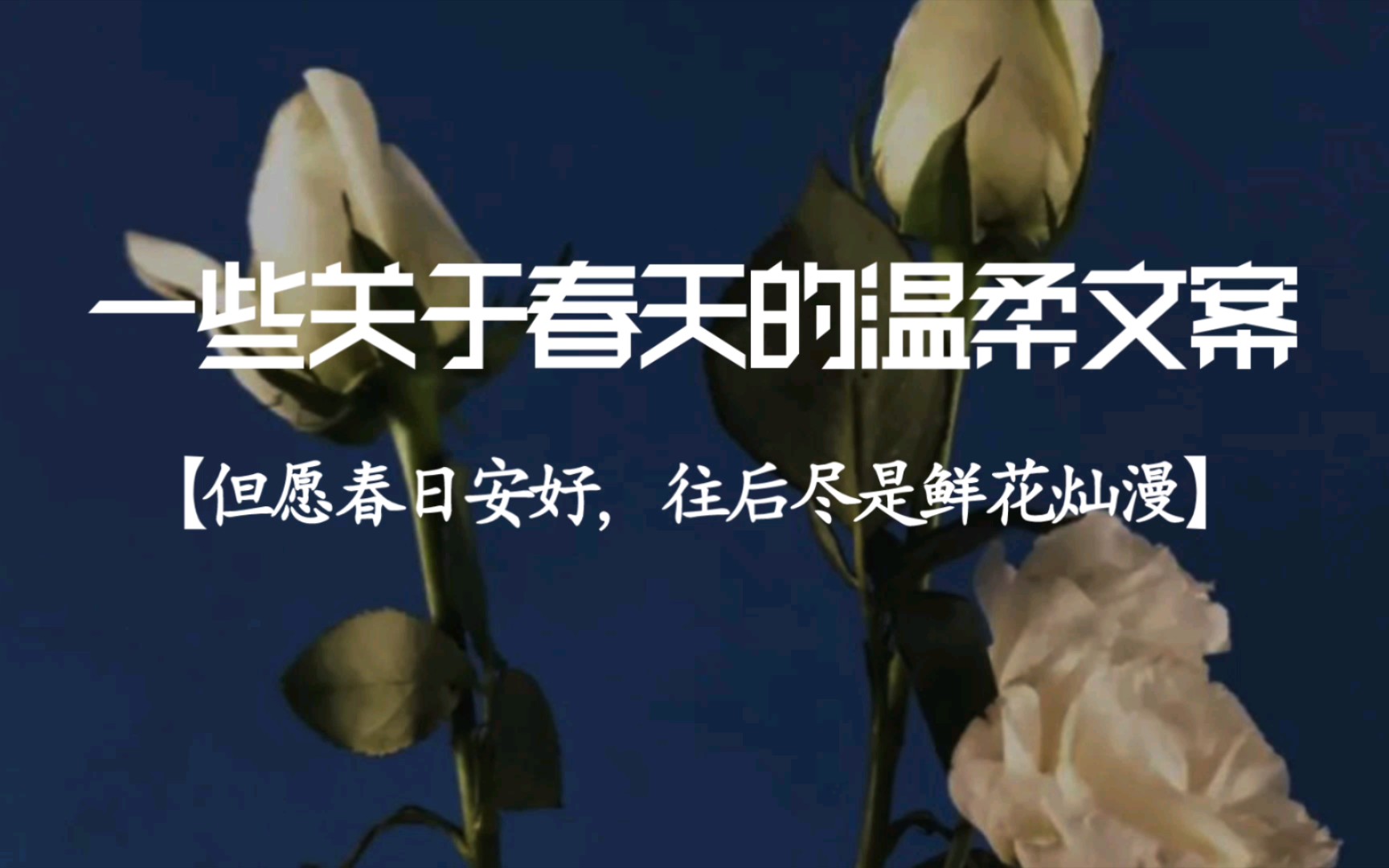 [图]“但愿春日安好，往后尽是鲜花灿漫” | 一些关于春天的温柔文案