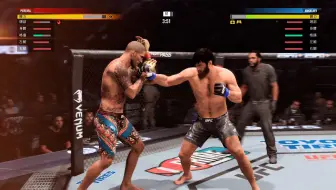 让小安子出点血！UFC5 【佩雷拉VS安卡拉耶夫】 传说AI难度