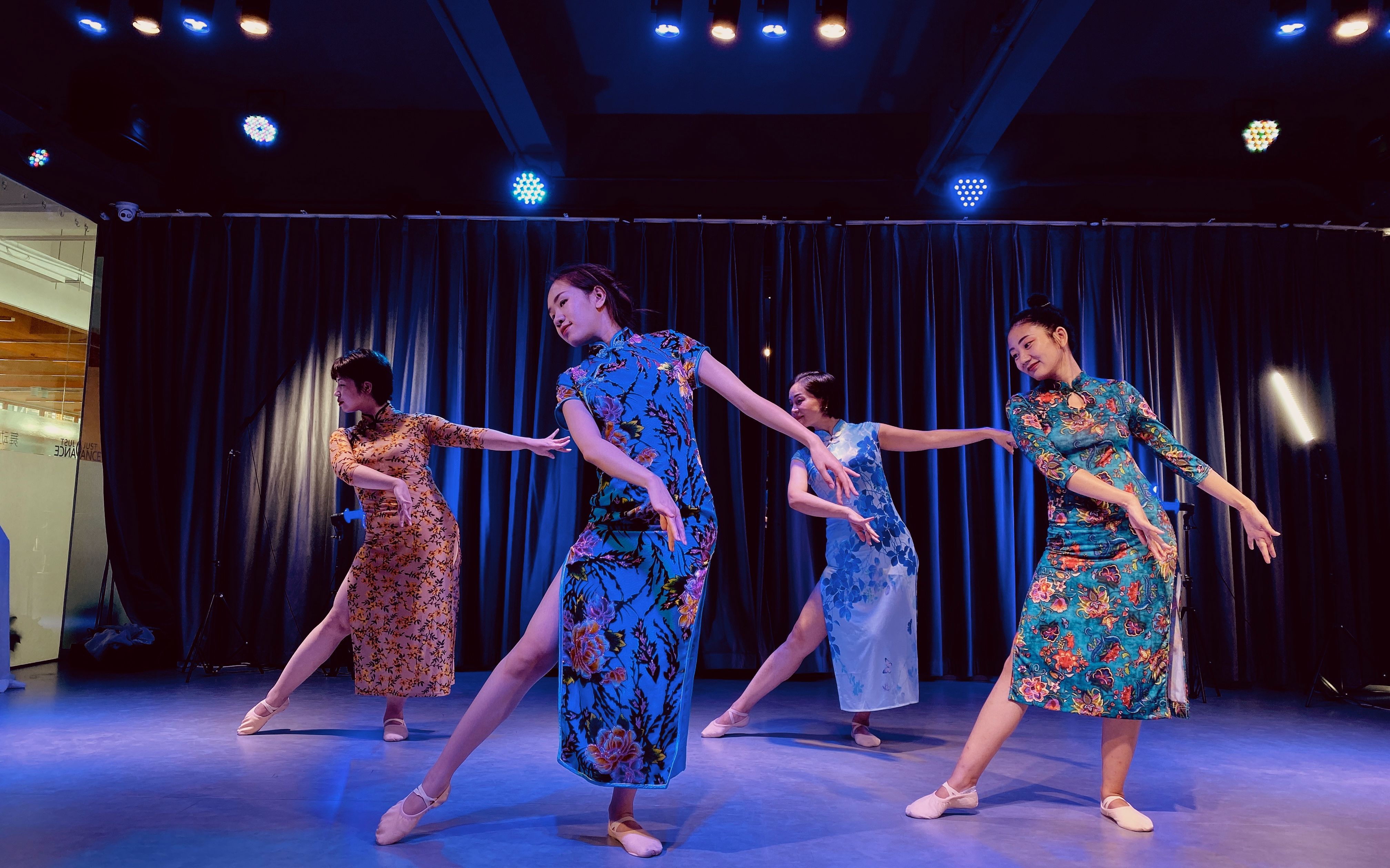 【多情种|舞也舞蹈】如花 似梦 是我们短暂的相逢 超美中国舞翻跳