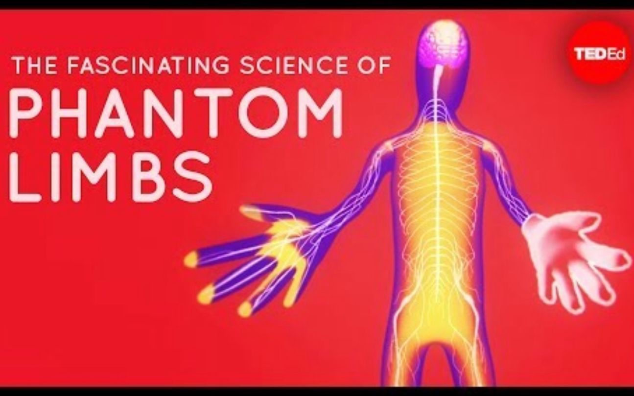 [图]【Ted-ED】关于幻肢的科学 The Fascinating Science Behind Phantom Limbs