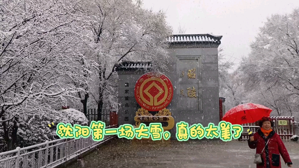 2022年11月12日沈阳第一场大雪,北陵公园雪景真的太壮观了!哔哩哔哩bilibili