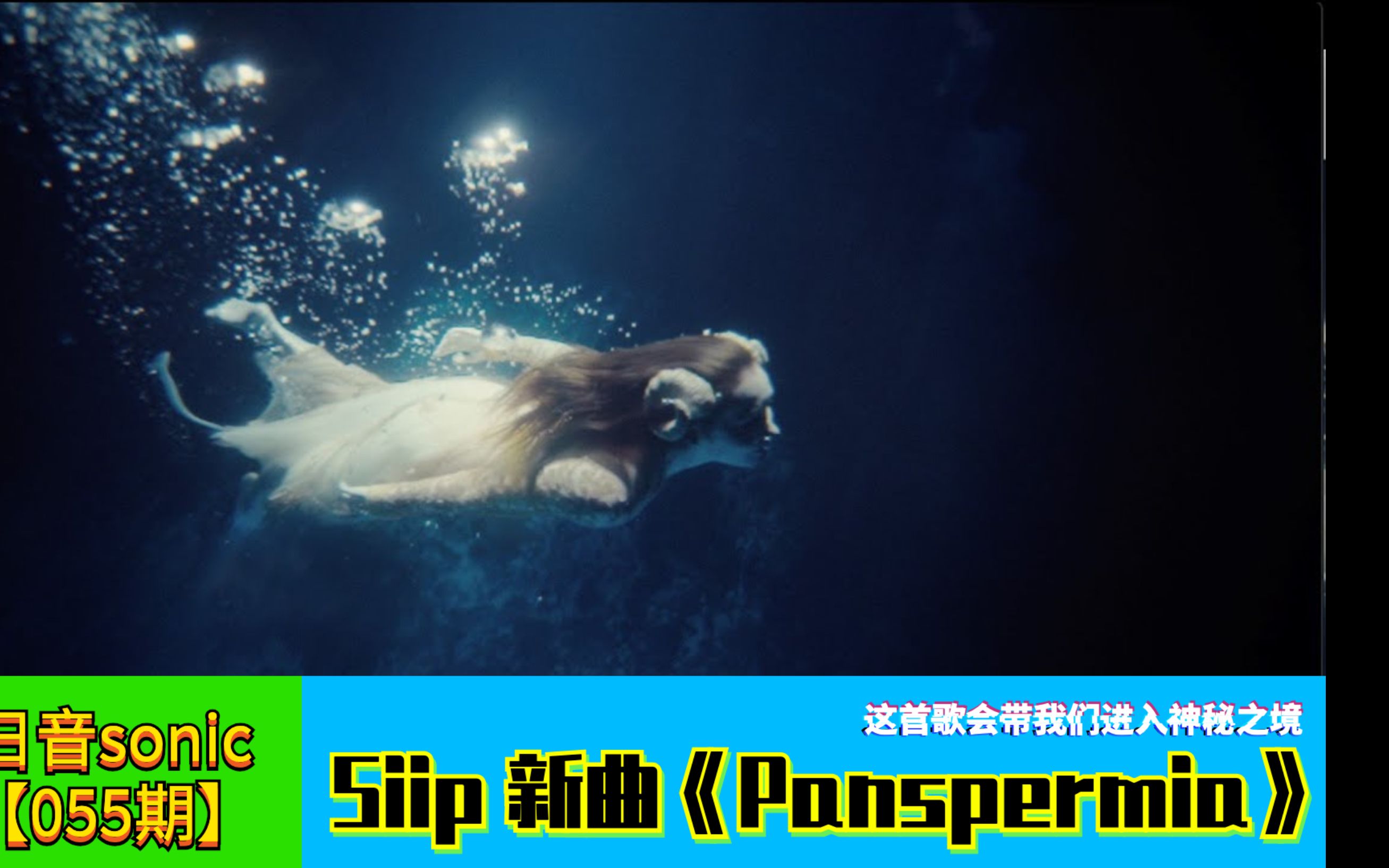 【日音sonic】Siip的新歌《Panspermia》,这首歌会带我们进入神秘之境哔哩哔哩bilibili