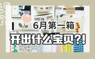 Download Video: 手帐开箱丨6月第一箱，我开出什么宝贝？