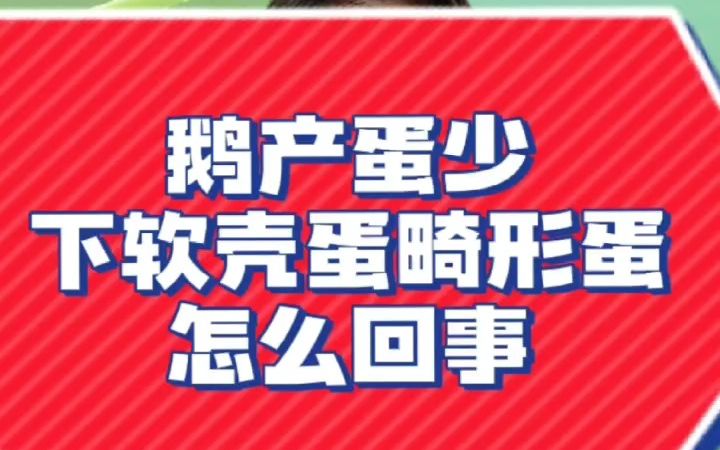 鹅为什么会生畸形蛋 鹅下蛋小是怎么回事 鹅产沙壳蛋怎么办 鹅产蛋少下软壳蛋畸形蛋怎么回事哔哩哔哩bilibili