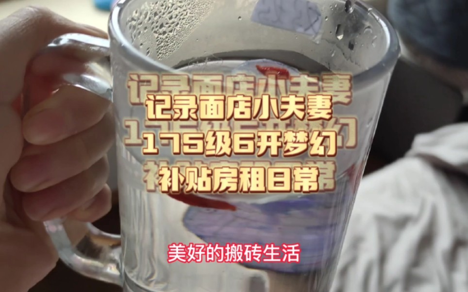 记录面店小夫妻175级6开梦幻补贴房租日常…网络游戏热门视频