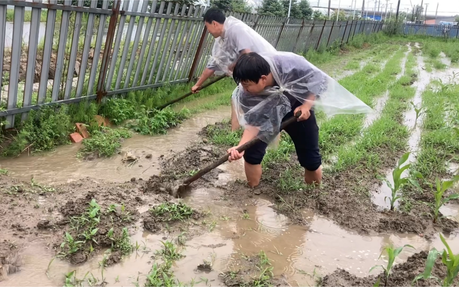 地势太低了,连续几天的暴雨把地淹了,用塑料布做雨衣冒雨放水哔哩哔哩bilibili