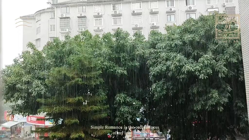 谁会喜欢雨天