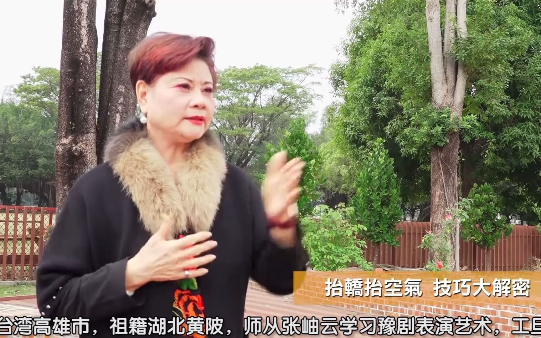 [图]豫剧花旦看家戏《抬花轿》，台湾豫剧皇后王海玲解读经典戏曲传承！