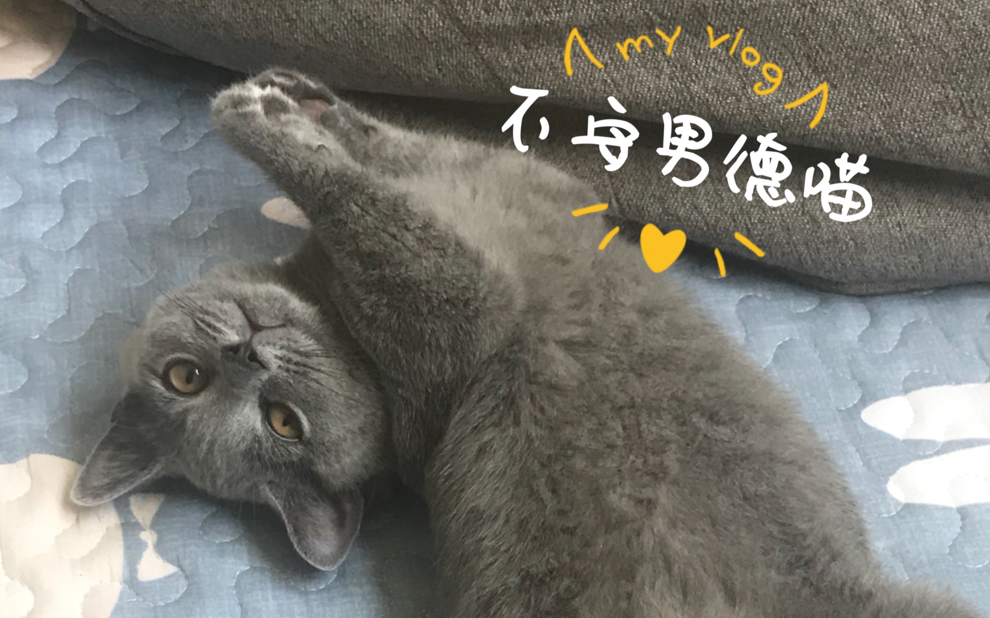 你怎么不守男德啊!