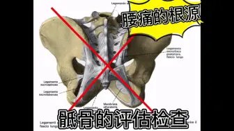 Tải video: 腰痛的根源-骶骨